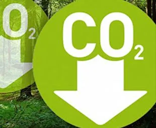 Helps Fight Climate Change